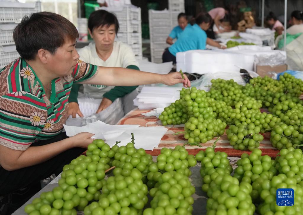 真人龙虎游戏下载